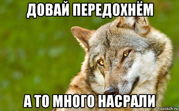 довай передохнём а то много насрали, Мем   Volf