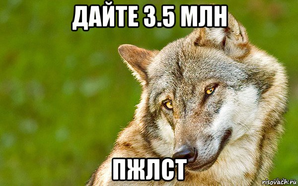 дайте 3.5 млн пжлст, Мем   Volf