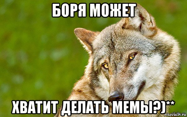 боря может хватит делать мемы?)**, Мем   Volf