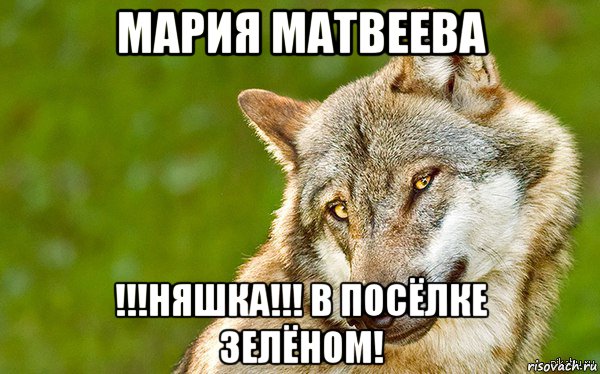 мария матвеева !!!няшка!!! в посёлке зелёном!, Мем   Volf