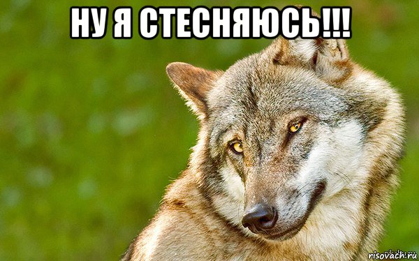 ну я стесняюсь!!! , Мем   Volf