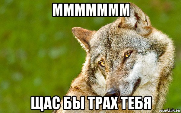 ммммммм щас бы трах тебя, Мем   Volf