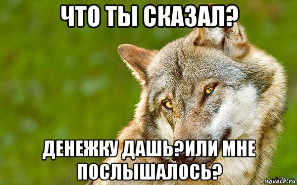 что ты сказал? денежку дашь?или мне послышалось?, Мем   Volf