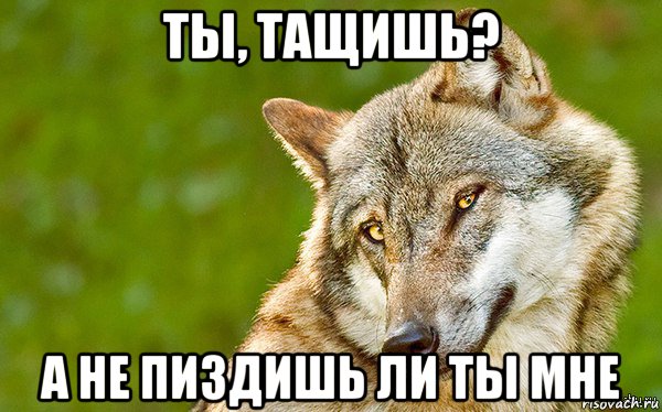 ты, тащишь? а не пиздишь ли ты мне, Мем   Volf