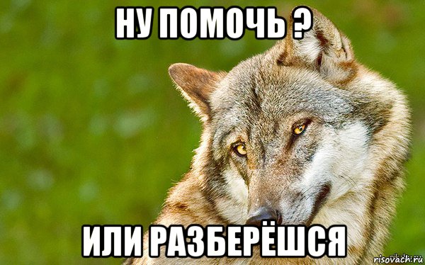 ну помочь ? или разберёшся, Мем   Volf