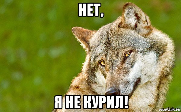 нет, я не курил!, Мем   Volf