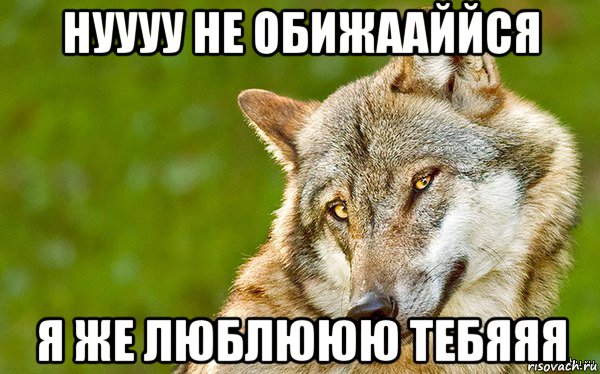 нуууу не обижааййся я же люблююю тебяяя, Мем   Volf