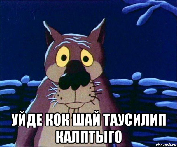  уйде кок шай таусилип калптыго
