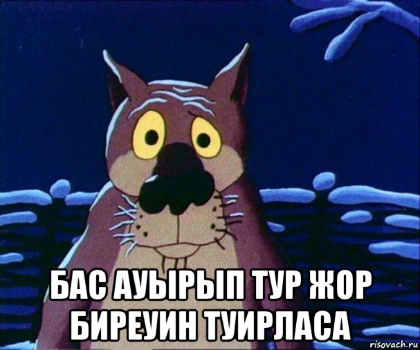  бас ауырып тур жор биреуин туирласа
