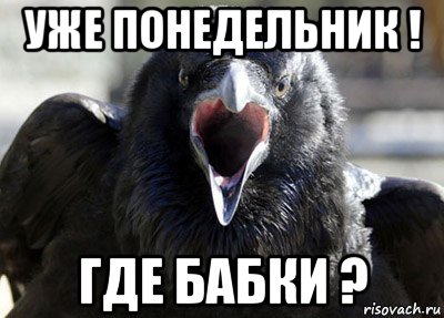 уже понедельник ! где бабки ?, Мем ворона