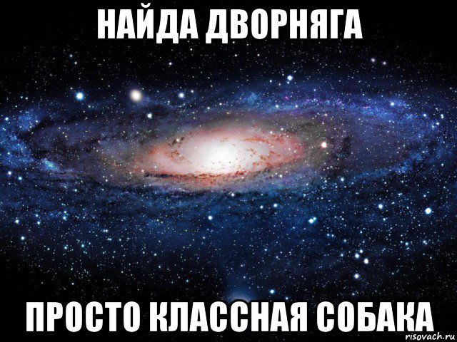 найда дворняга просто классная собака, Мем Вселенная