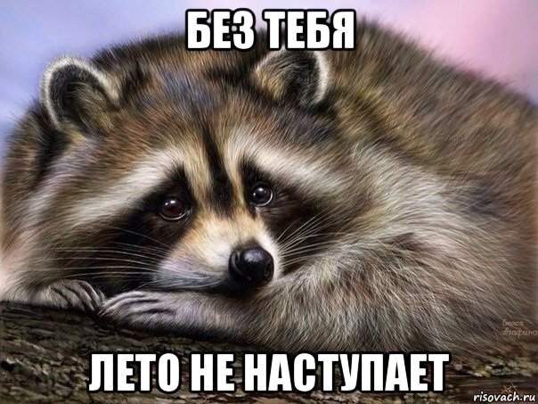 без тебя лето не наступает