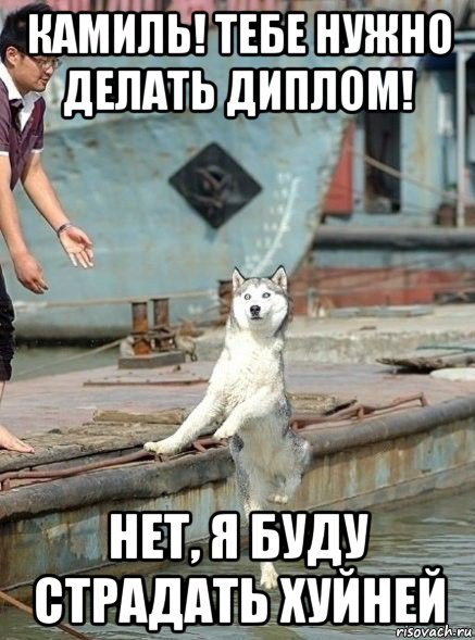 камиль! тебе нужно делать диплом! нет, я буду страдать хуйней