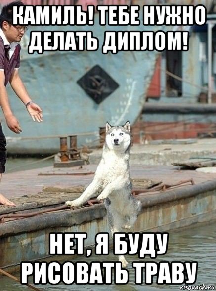 камиль! тебе нужно делать диплом! нет, я буду рисовать траву