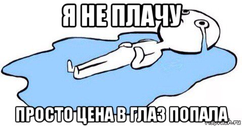 я не плачу просто цена в глаз попала, Мем Я плачу