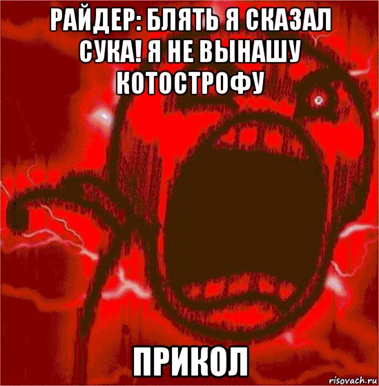 райдер: блять я сказал сука! я не вынашу котострофу прикол