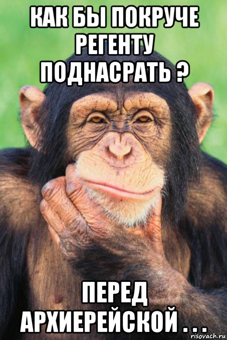 как бы покруче регенту поднасрать ? перед архиерейской . . ., Мем Задумчивая обезьяна