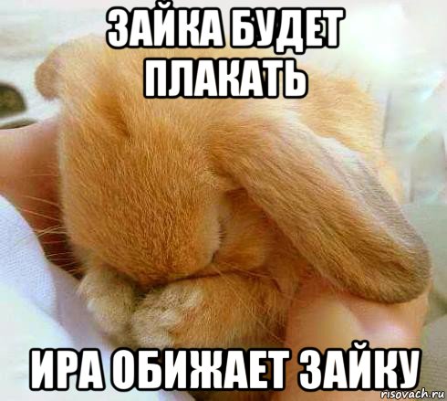 зайка будет плакать ира обижает зайку, Мем  зайка плачет