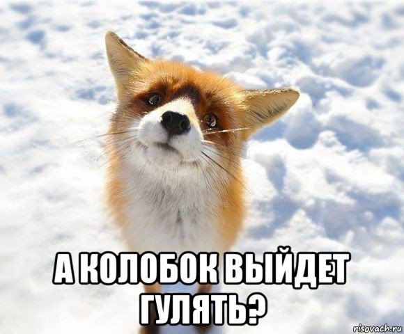  а колобок выйдет гулять?