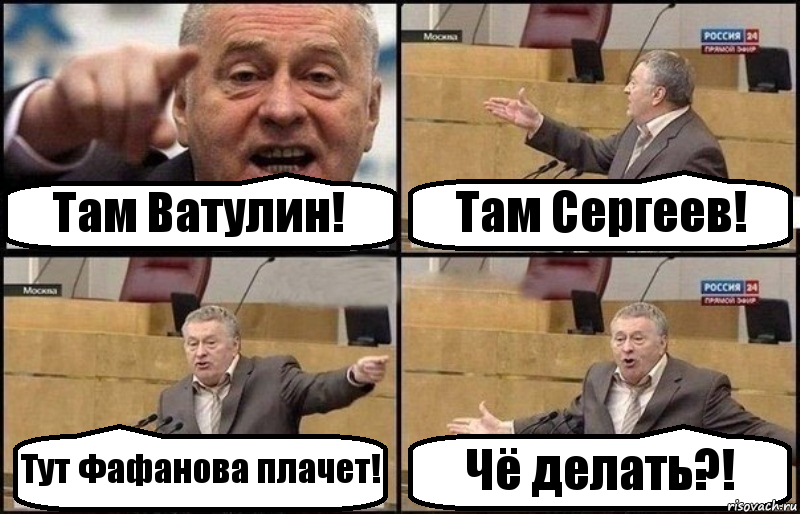 Там Ватулин! Там Сергеев! Тут Фафанова плачет! Чё делать?!, Комикс Жириновский