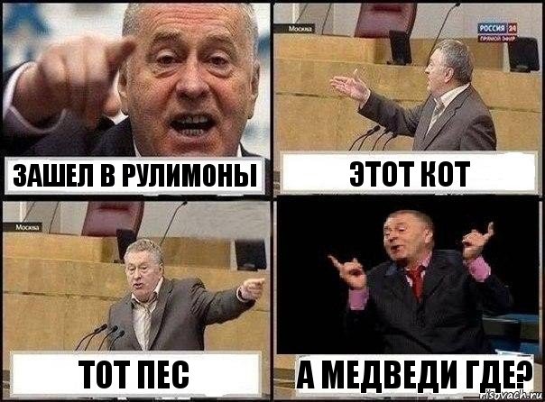 Зашел в рулимоны Этот кот Тот пес А медведи где?