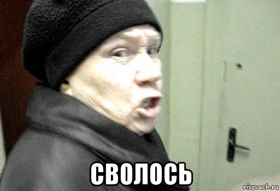  сволось, Мем злая бабка