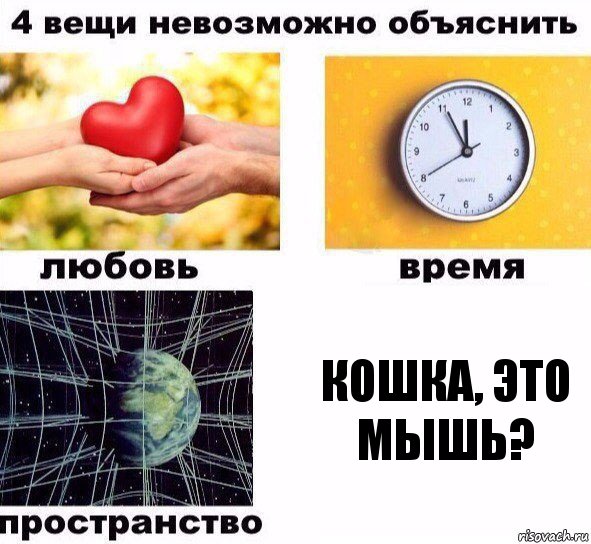 Кошка, это мышь?, Комикс  4 вещи невозможно объяснить