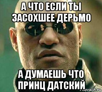 а что если ты засохшее дерьмо а думаешь что принц датский, Мем  а что если я скажу тебе