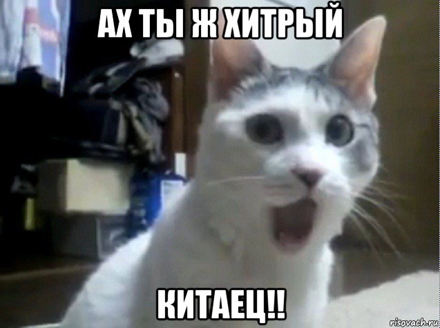 ах ты ж хитрый китаец!!, Мем Ах ты ж хитрая жопа
