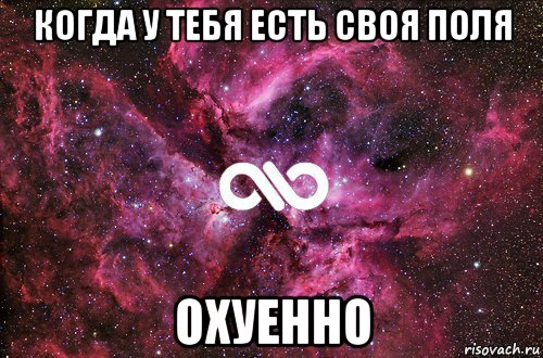 когда у тебя есть своя поля охуенно, Мем офигенно