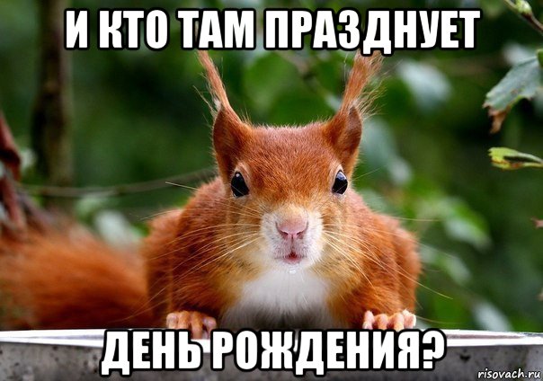 и кто там празднует день рождения?