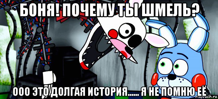 боня! почему ты шмель? ооо это долгая история...... я не помню её