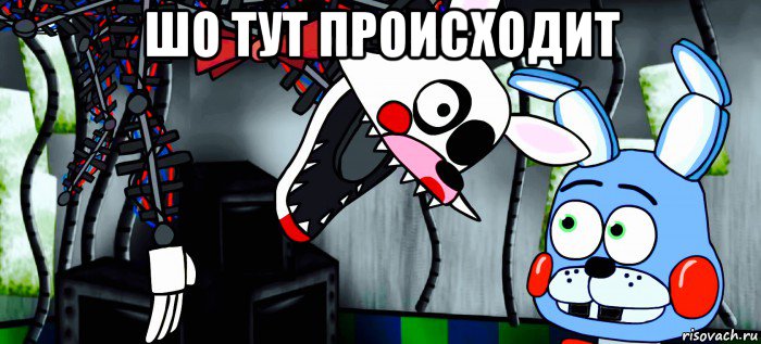 шо тут происходит 