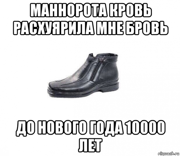 маннорота кровь расхуярила мне бровь до нового года 10000 лет