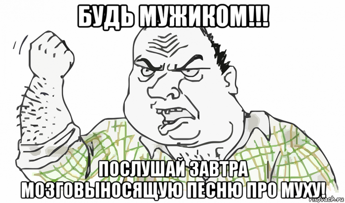 будь мужиком!!! послушай завтра мозговыносящую песню про муху!, Мем Будь мужиком