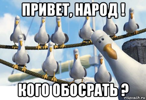 привет, народ ! кого обосрать ?