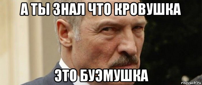 а ты знал что кровушка это буэмушка