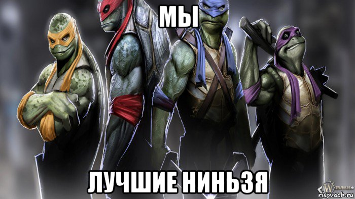 мы лучшие ниньзя, Мем Черепашки ниндзя