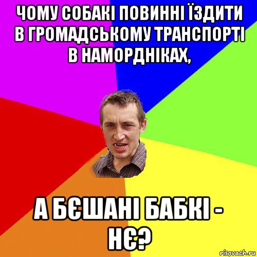 чому собакі повинні їздити в громадському транспорті в намордніках, а бєшані бабкі - нє?, Мем Чоткий паца