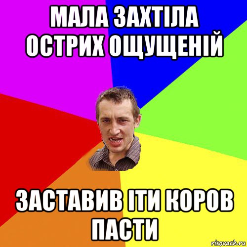 мала захтіла острих ощущеній заставив іти коров пасти, Мем Чоткий паца