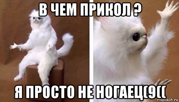 в чем прикол ? я просто не ногаец(9((, Мем Чучело кота