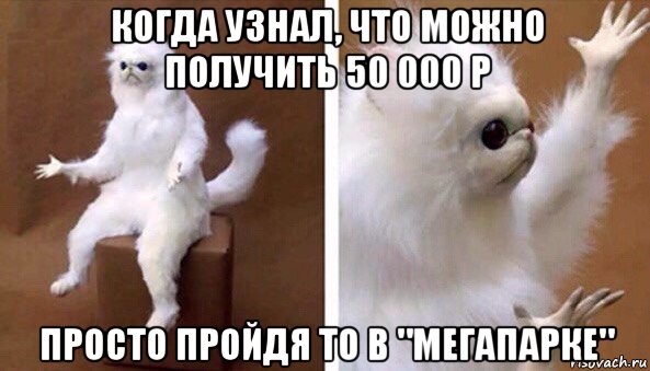 когда узнал, что можно получить 50 000 р просто пройдя то в "мегапарке", Мем Чучело кота