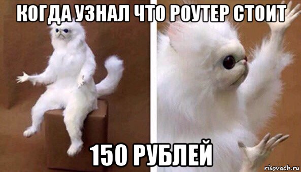 когда узнал что роутер стоит 150 рублей, Мем Чучело кота