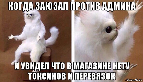 когда заюзал против админа и увидел что в магазине нету токсинов и перевязок, Мем Чучело кота