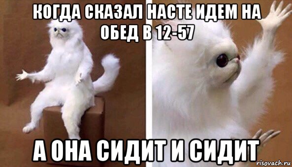 когда сказал насте идем на обед в 12-57 а она сидит и сидит, Мем Чучело кота