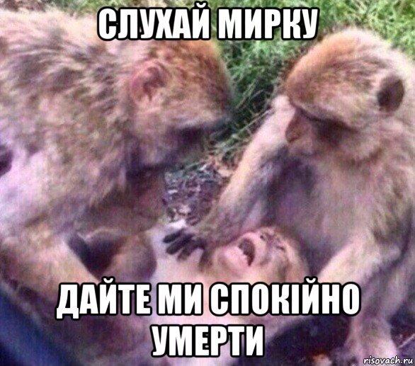 слухай мирку дайте ми спокійно умерти