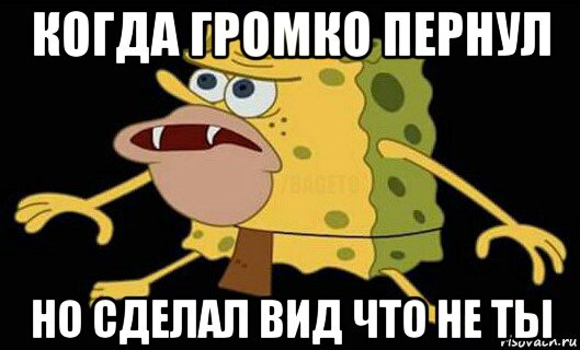 когда громко пернул но сделал вид что не ты, Мем Дикий спанч боб