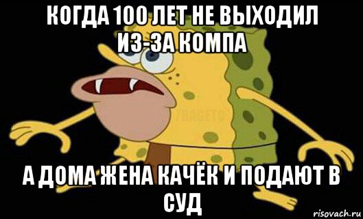 когда 100 лет не выходил из-за компа а дома жена качёк и подают в суд, Мем Дикий спанч боб