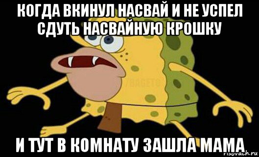 когда вкинул насвай и не успел сдуть насвайную крошку и тут в комнату зашла мама, Мем Дикий спанч боб