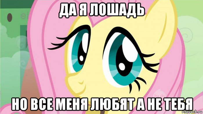 да я лошадь но все меня любят а не тебя, Мем DONT TOUCH MY FLUTTERSHY SON OF 